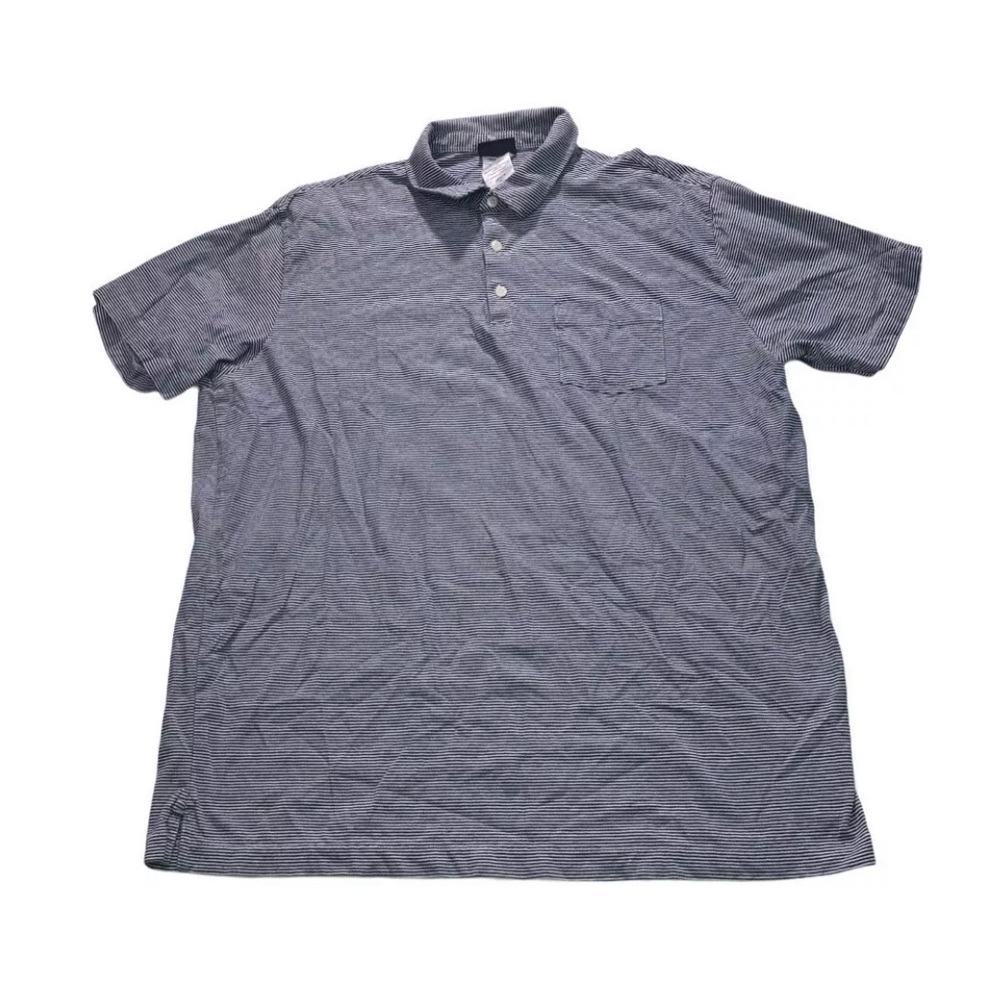 Patagonia Organic Cotton striped Polo Shirt
